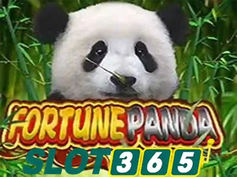 Slot365: Đánh giá và hướng dẫn chơi slot trực tuyến an toàn