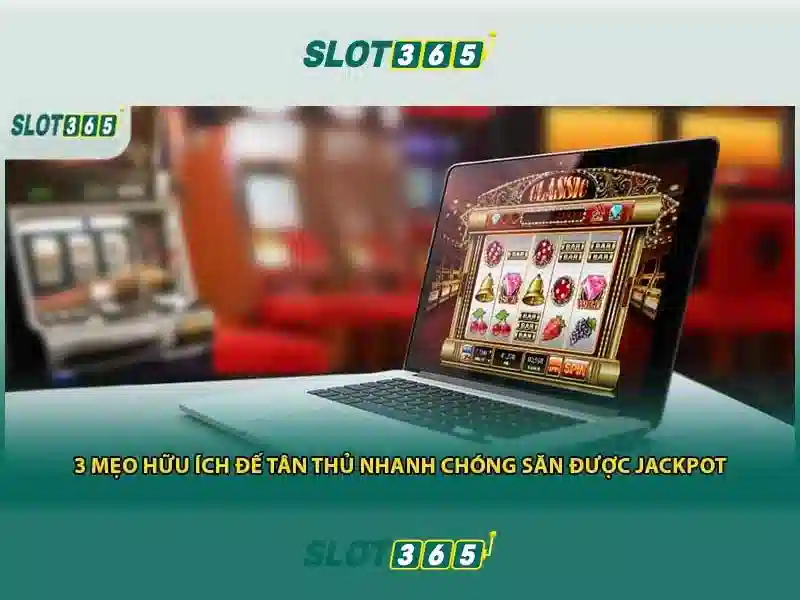 Các tính năng nổi bật