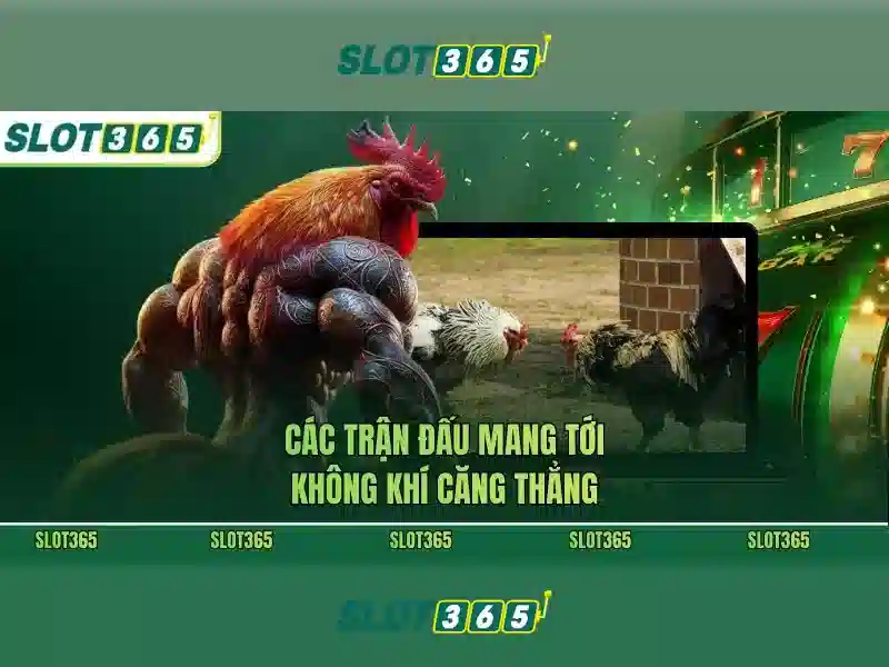 An toàn và công bằng khi chơi với Slot365