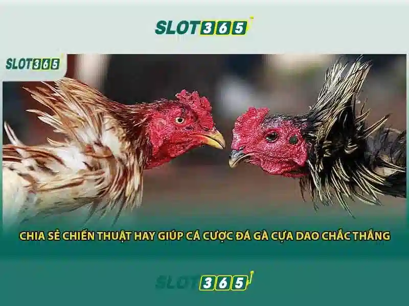 Danh mục trò chơi và nhà cung cấp