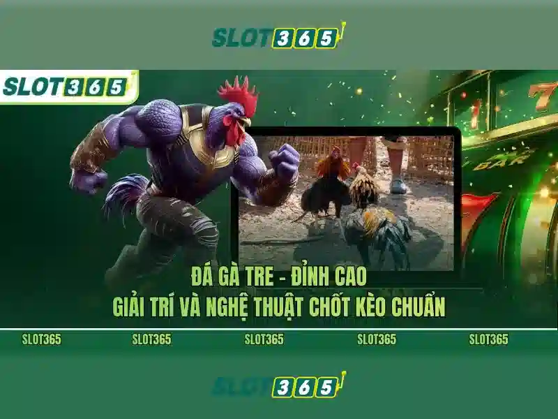 Giới thiệu về Slot365
