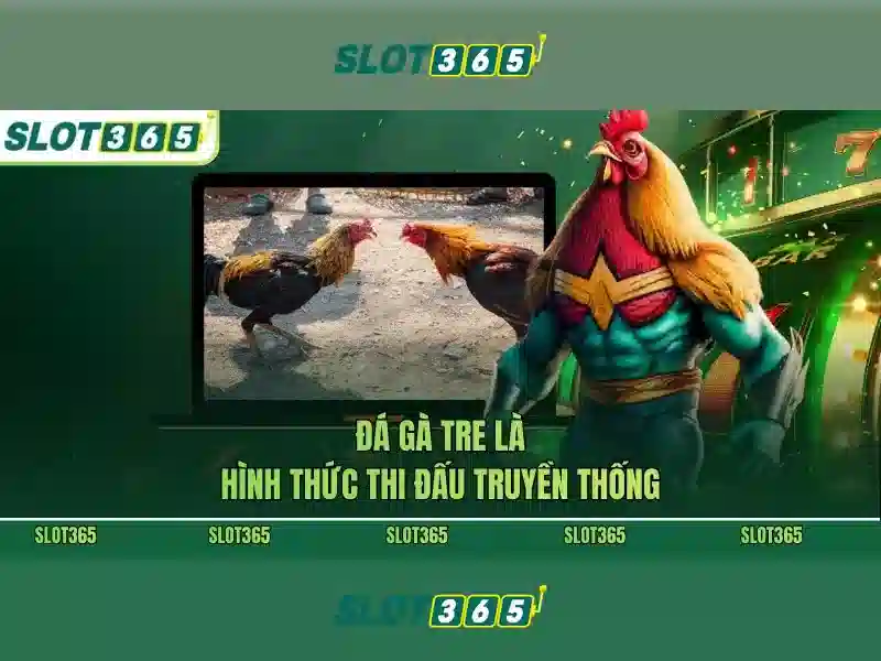 Slot365: Đánh giá nền tảng máy đánh bạc trực tuyến