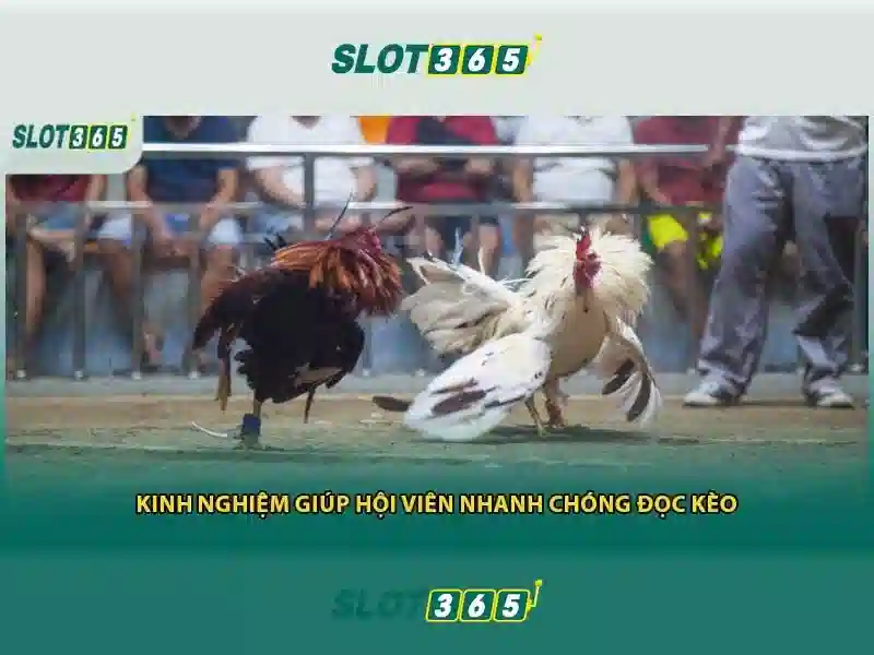 Hướng dẫn tham gia
