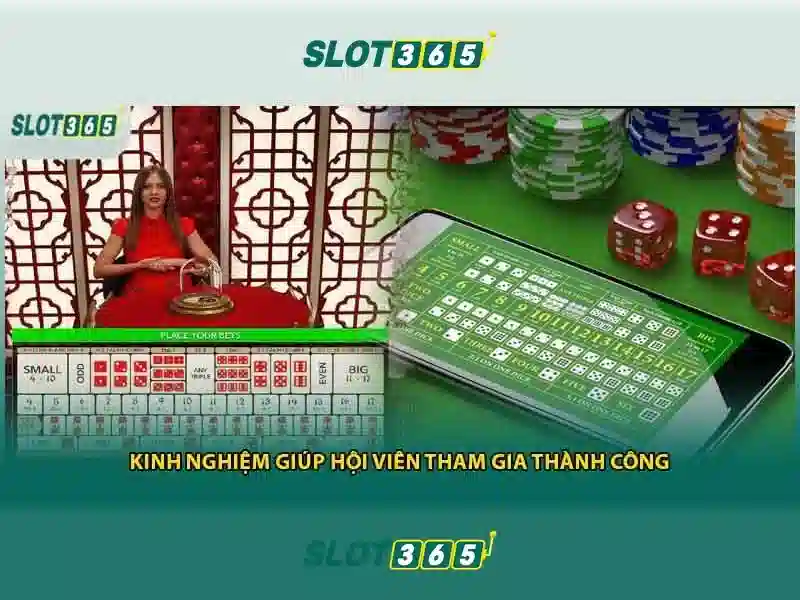 Trải nghiệm người dùng và giao diện