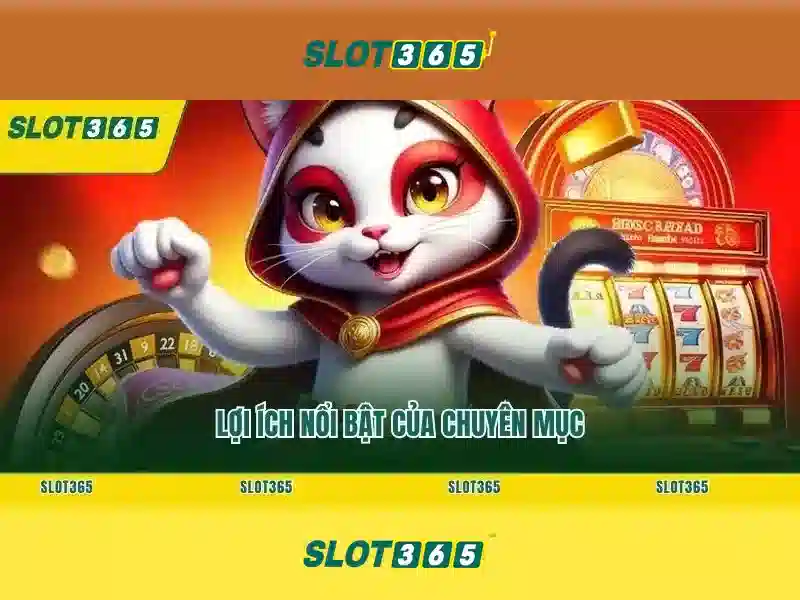 Slot365 – Nền tảng trò chơi slots trực tuyến hiện đại
