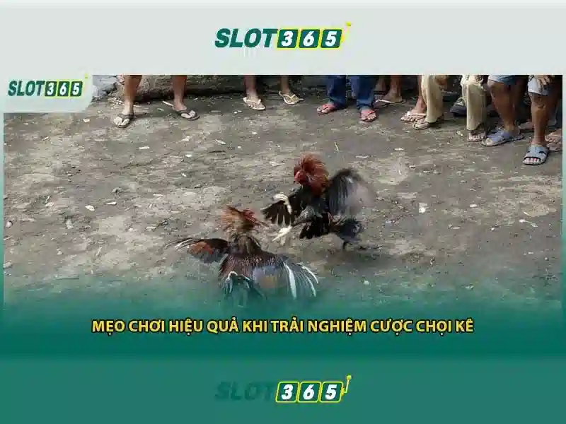 Slot365 là gì?