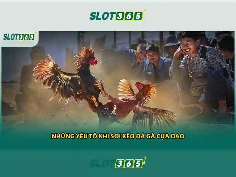 Slot365: Tổng quan và trải nghiệm chơi slot trực tuyến