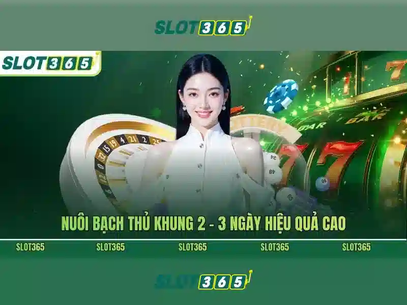 Ưu đãi và thanh toán