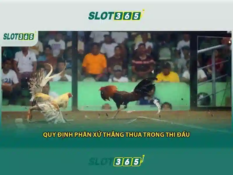 Slot365 là gì