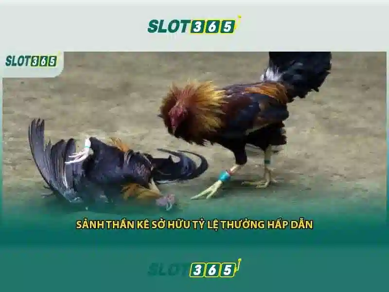 nhận thưởng Slot365 – Tổng quan chủ đề và giá trị cốt lõi