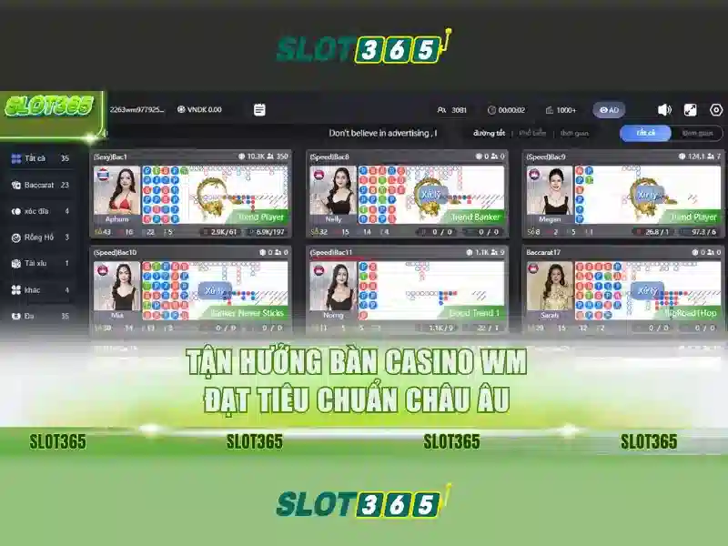 Người chơi cần tuân thủ quy định độ tuổi và pháp luật khi tham gia Slot365