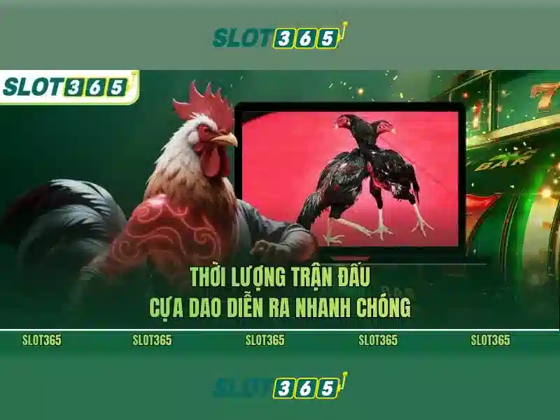 Raja slot365 – Tóm lược chủ đề và giá trị cốt lõi