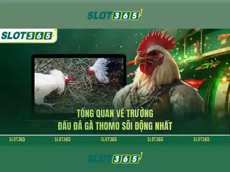 Slot365 - Đánh giá nền tảng slot trực tuyến