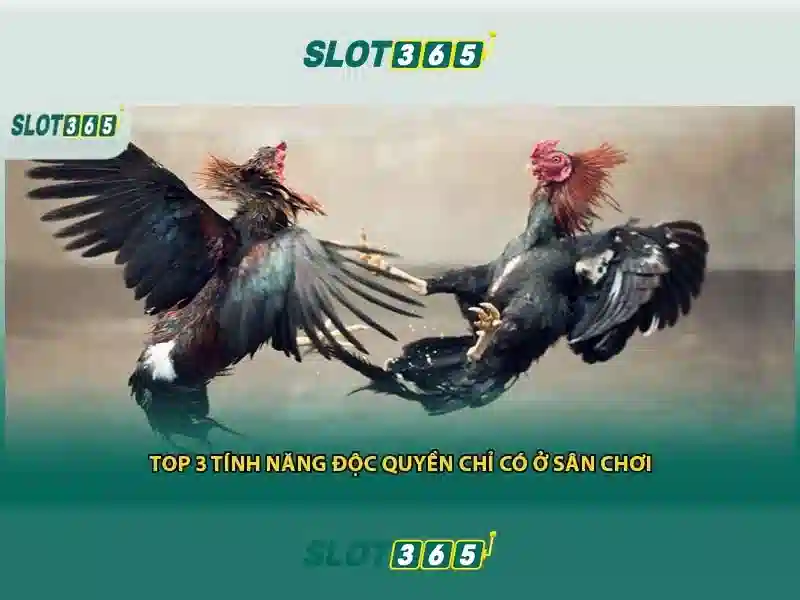 Slot365: Tổng quan về nền tảng sòng bạc trực tuyến