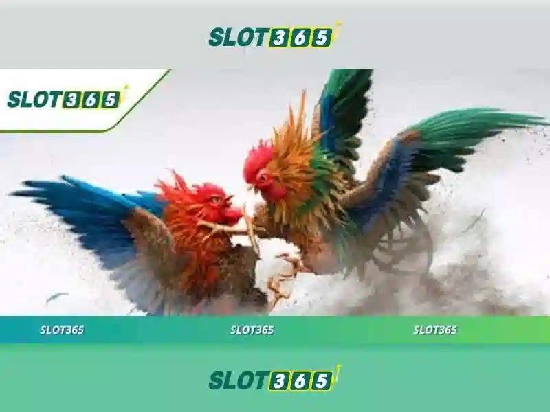 Slot365 - Trải nghiệm đánh bạc trực tuyến an toàn và thú vị