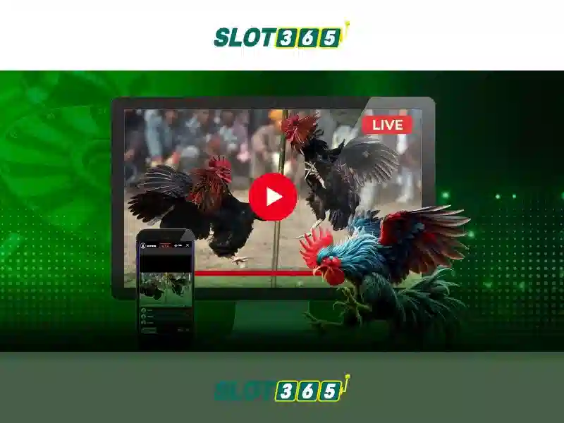 Các trò chơi phổ biến trên Slot365