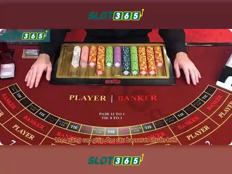 Slot365: Tổng quan về nền tảng slot và đánh giá an toàn