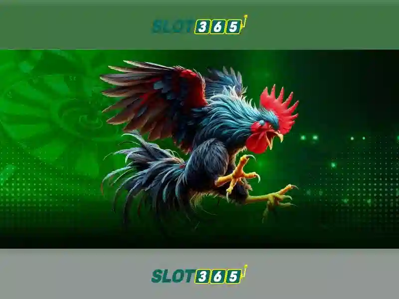 Slot365 - Nền tảng cá cược trực tuyến uy tín tại Việt Nam