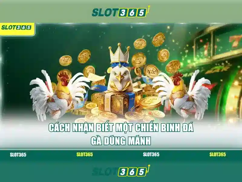 Slot365: Nền tảng đánh bạc trực tuyến đáng tin cậy