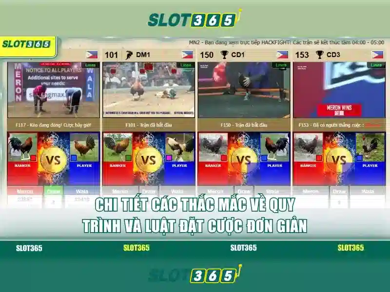 Slot365 là gì và tại sao được tin dùng?
