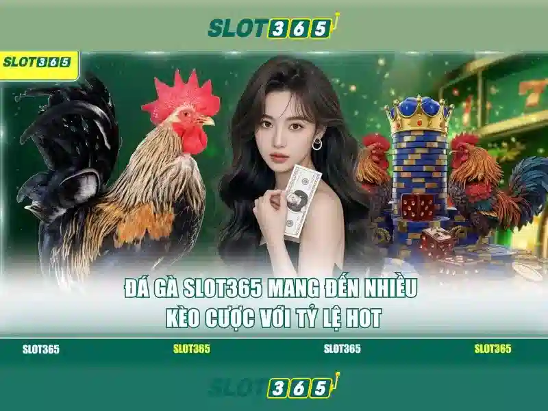Slot365 là gì? - Đánh giá tổng quan