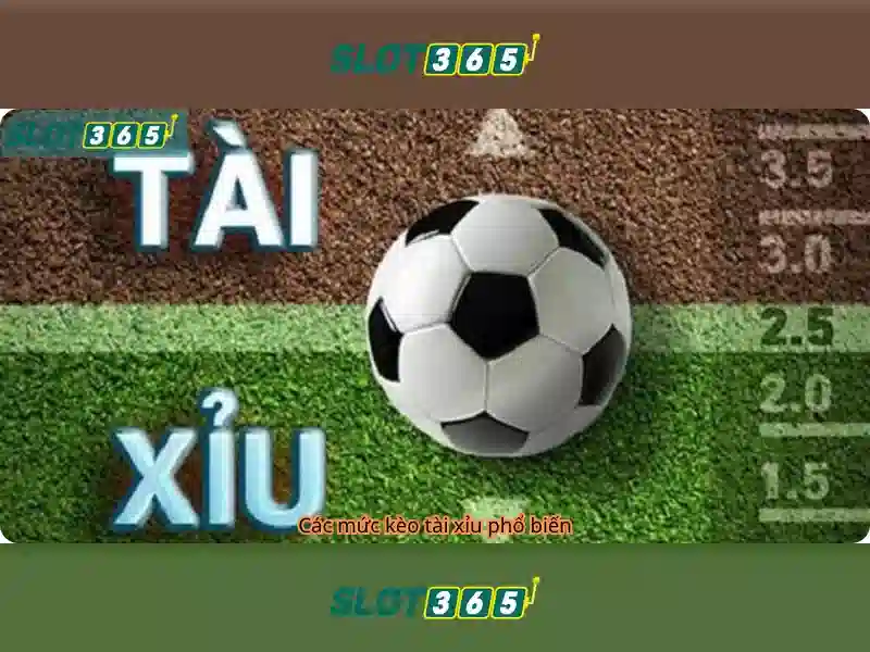 Giao diện người dùng và trải nghiệm di động