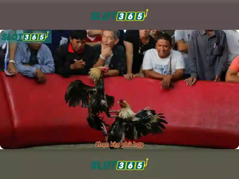 Slot365: Cổng trò chơi xèng trực tuyến hàng đầu