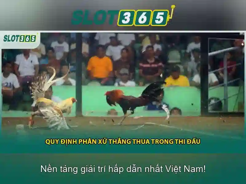 Slot365: Gioi thieu, danh gia va trai nghiem cho nguoi choi