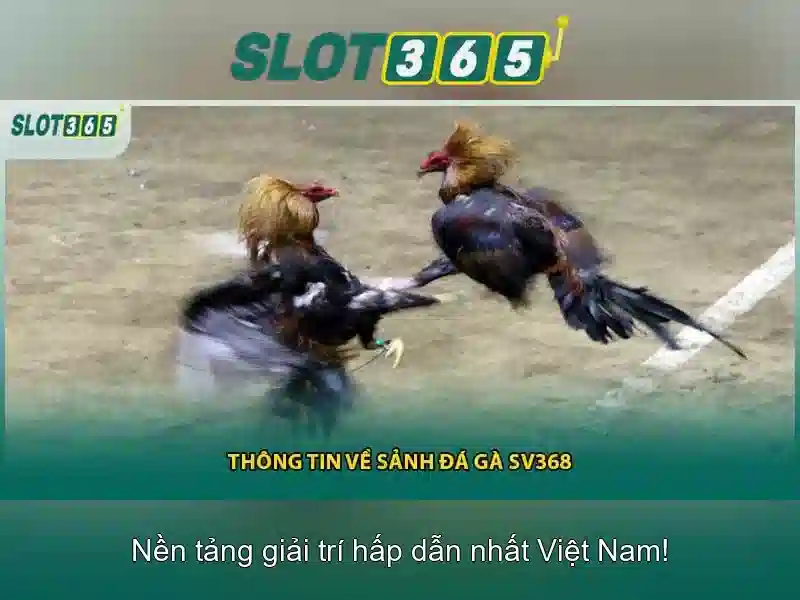 Slot365 là nền tảng chơi slot trực tuyến phổ biến