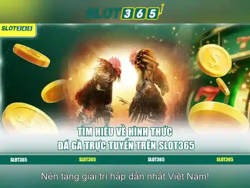Slot365: Nền tảng slot trực tuyến uy tín
