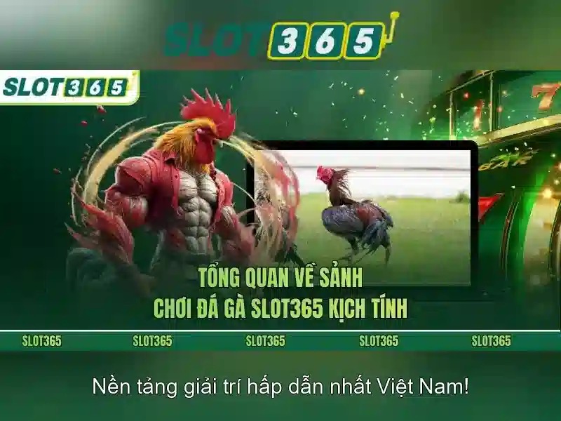 Slot365 - Nền tảng chơi máy xèng trực tuyến đáng tin cậy