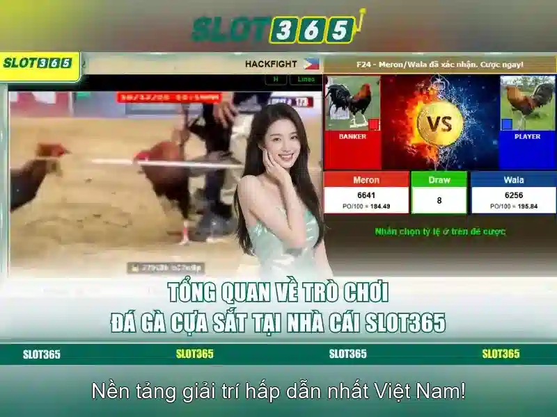 Slot365 – Đánh giá và trải nghiệm máy đánh bạc trực tuyến tại Việt Nam