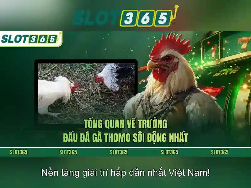 Slot365 - Sòng bạc trực tuyến uy tín và giải trí đỉnh cao