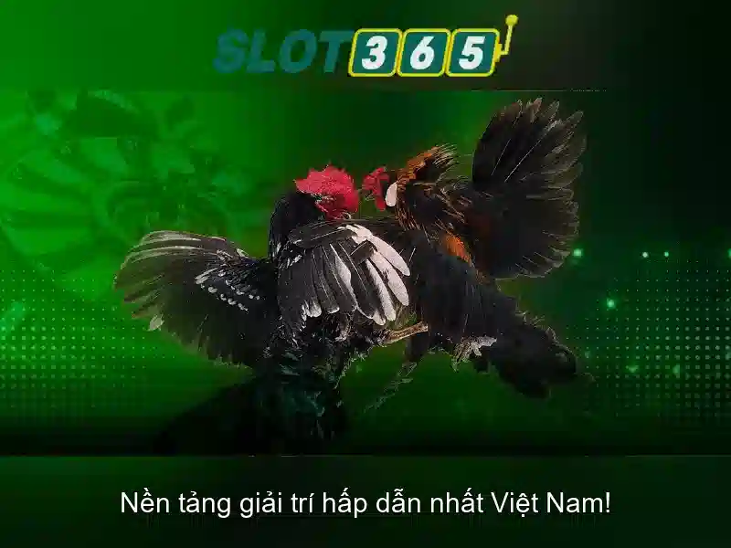 Slot365: Khám phá nền tảng xèng trực tuyến hàng đầu
