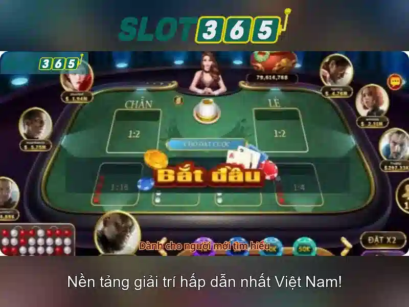 Kết luận và lời khuyên tham gia