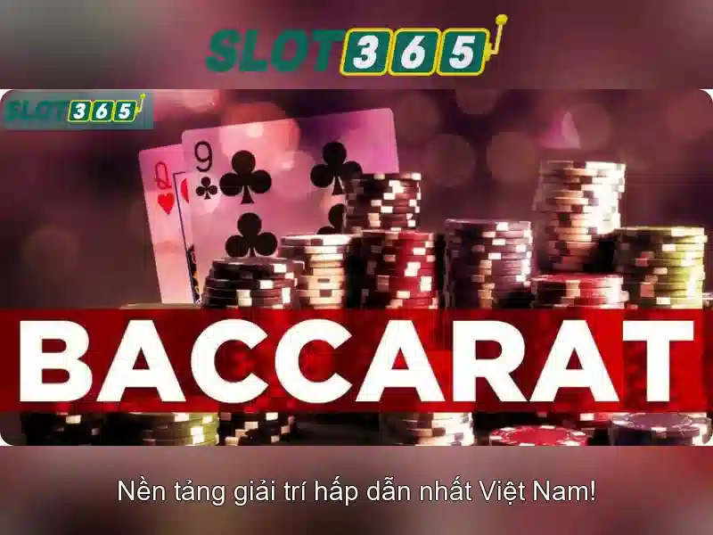Hỗ trợ người dùng và trải nghiệm nền tảng