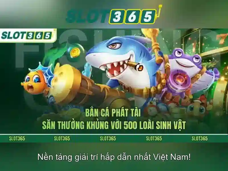 Khuyến mãi và chương trình thưởng