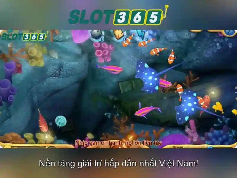 Tính năng và khuyến mãi
