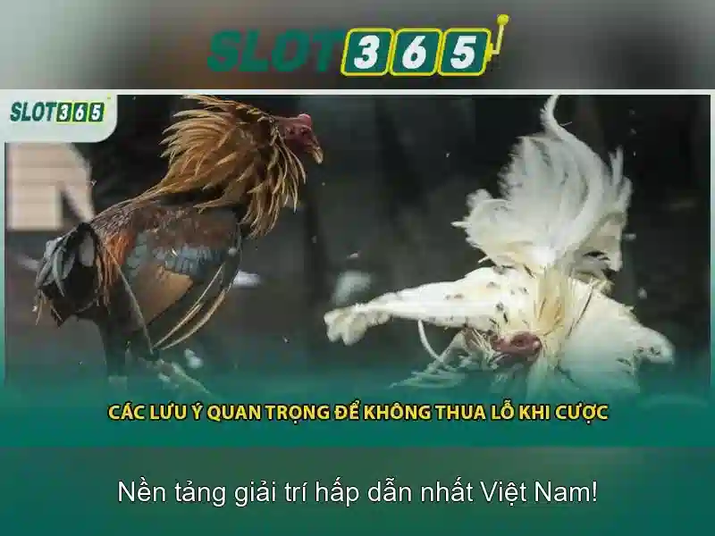 Slot365 - trải nghiệm slot trực tuyến đáng tin cậy