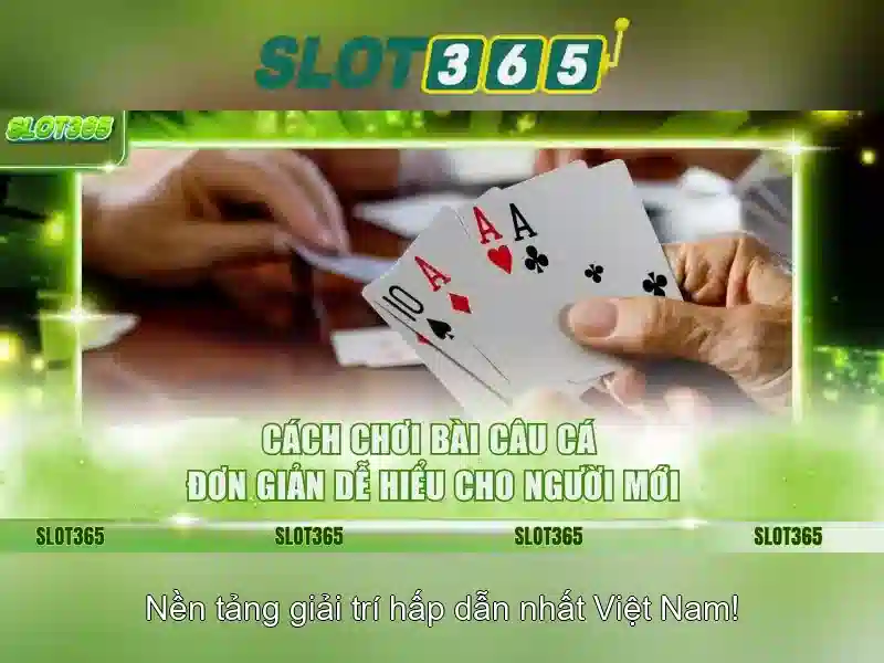 An toàn, pháp lý và hỗ trợ khách hàng