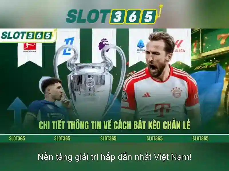 Hỗ trợ Slot365 – Lợi thế và Năng lực cạnh tranh