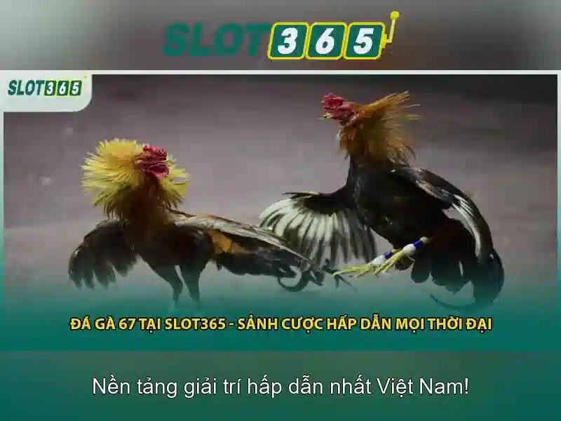 Slot365: Đánh giá và hướng dẫn chơi slot trực tuyến tại Việt Nam