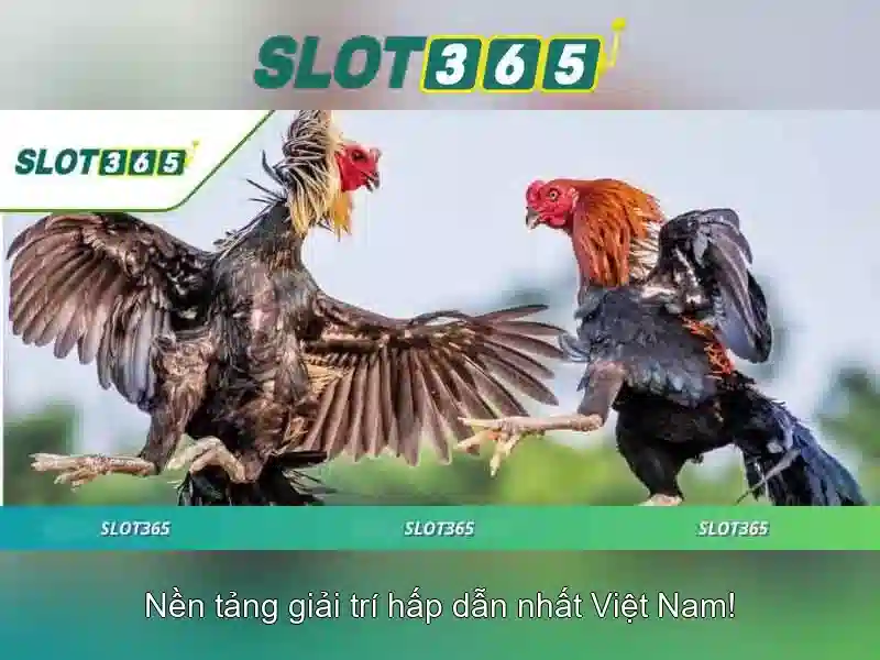 Trò chơi và thiết kế