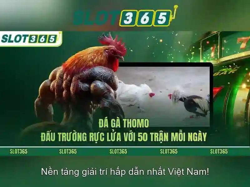 Cách tham gia và an toàn