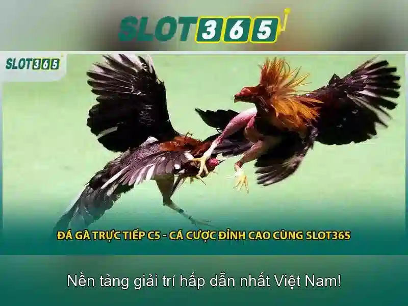An toàn và thanh toán