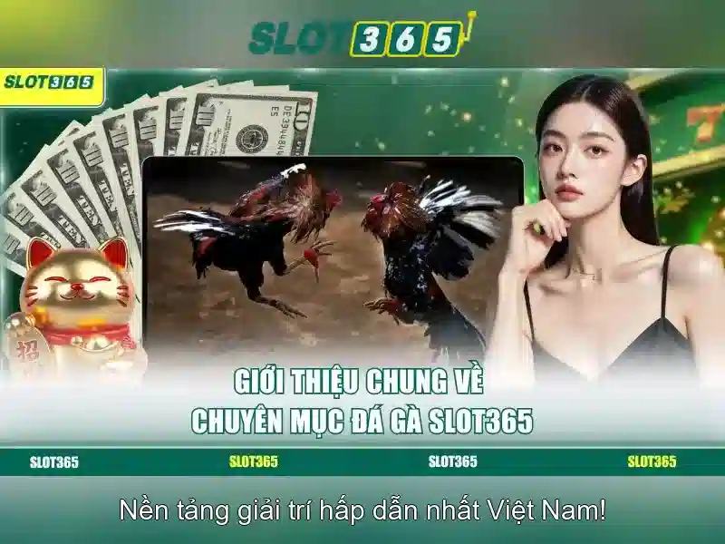 Slot365 – Nền tảng casino trực tuyến hiện đại