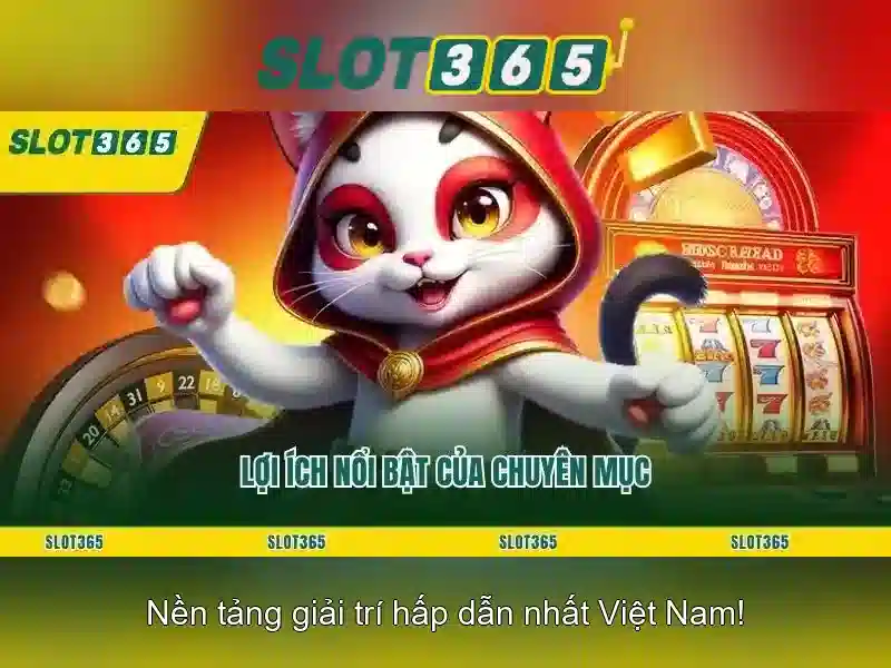 Slot365: Nền tảng trò chơi slot trực tuyến phổ biến