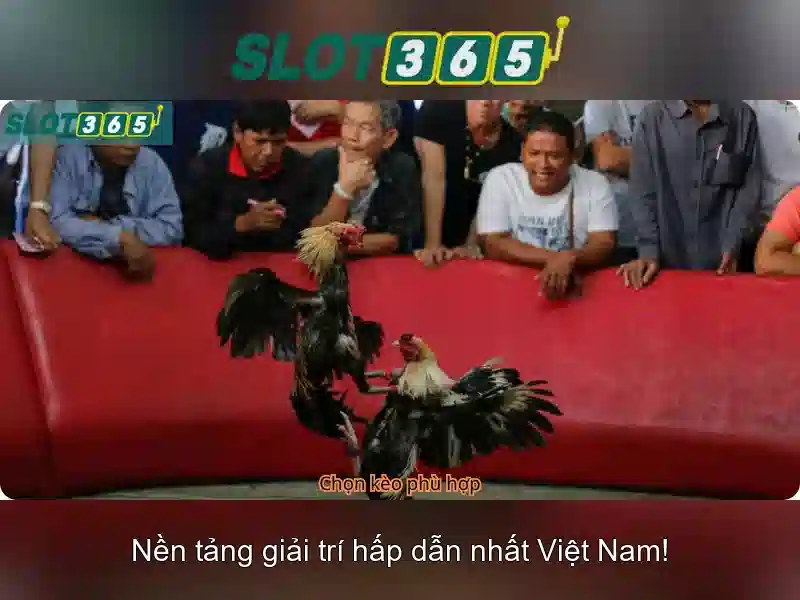 Slot365: Đánh giá nền tảng chơi slot trực tuyến uy tín