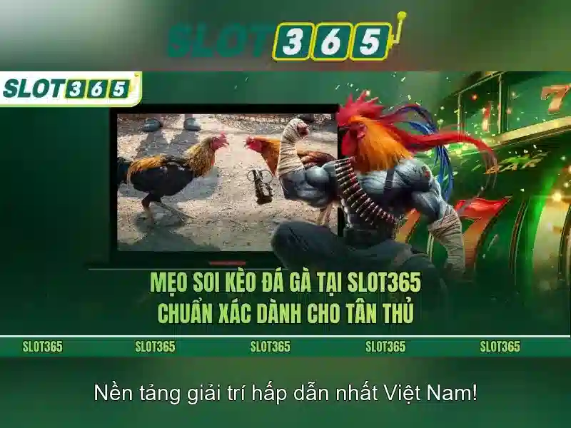 An toàn và thanh toán