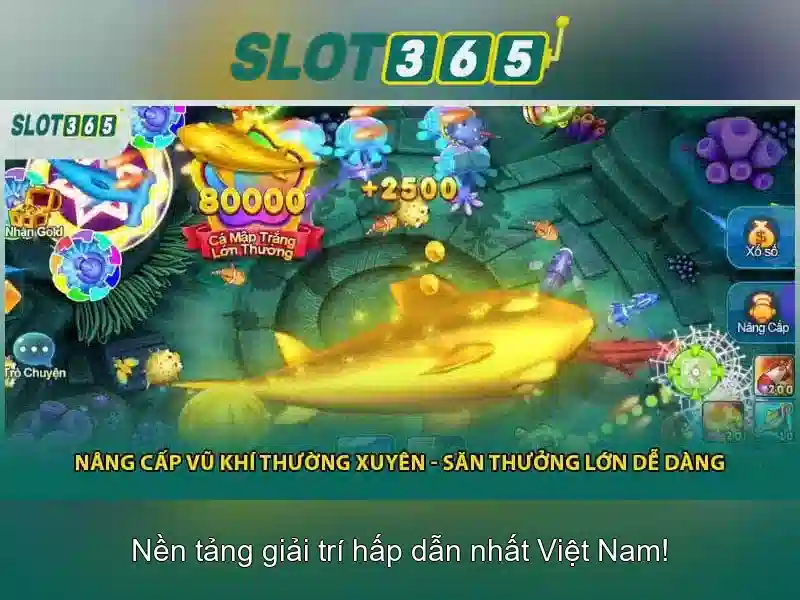 Slot365 - Đánh giá và hướng dẫn